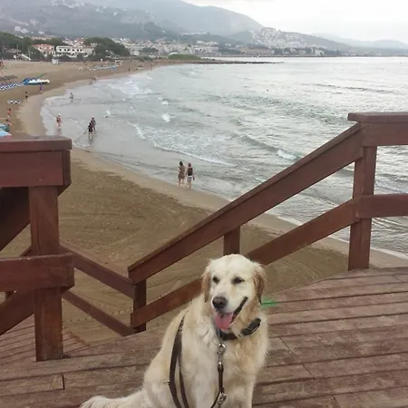 With 2 In Alcossebre, With Private Pool And Enclosed G Apartment